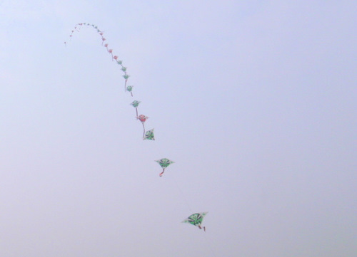 Kites on one wire strand